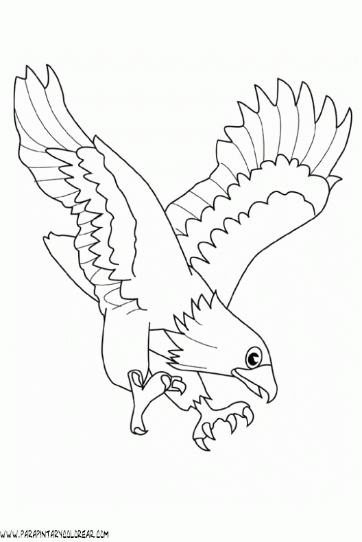 Philadelphia Eagles Coloring Pages Printable Coloring Pages