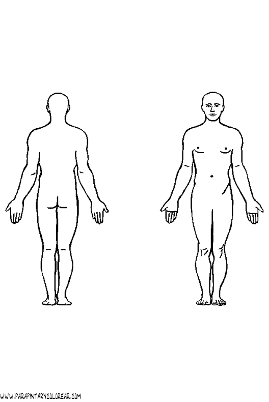 Dibujos Para Colorear Del Cuerpo Humano Images