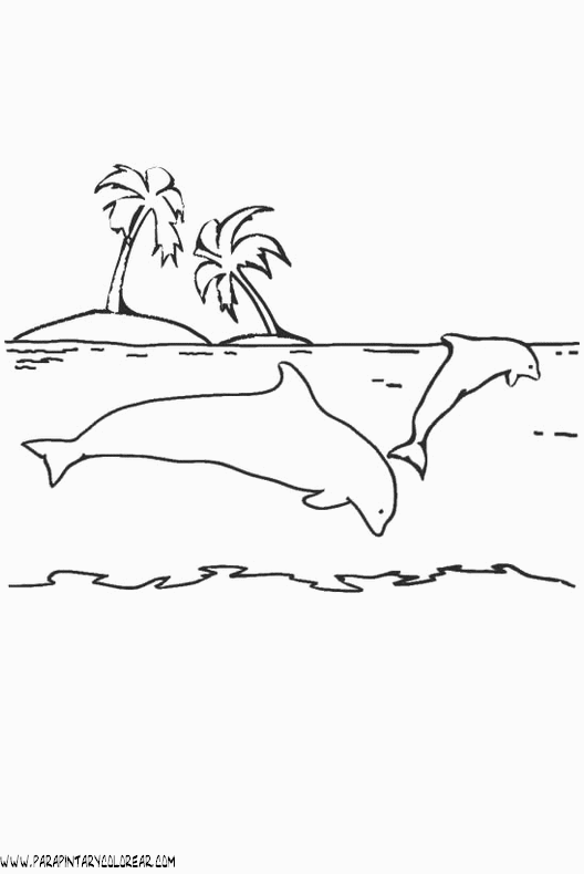 dibujos-de-delfines-015.gif