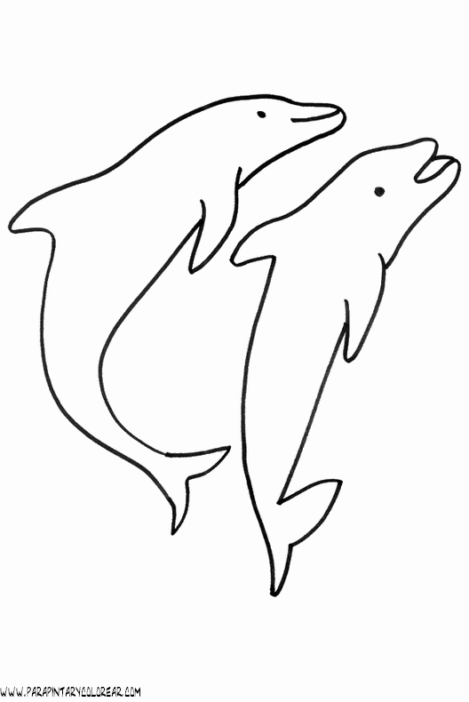 dibujos-de-delfines-022.gif