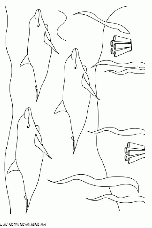 dibujos-de-delfines-041.gif