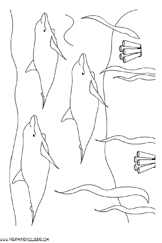 dibujos-de-delfines-042.gif