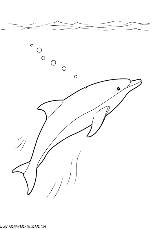 dibujos-de-delfines-043.gif