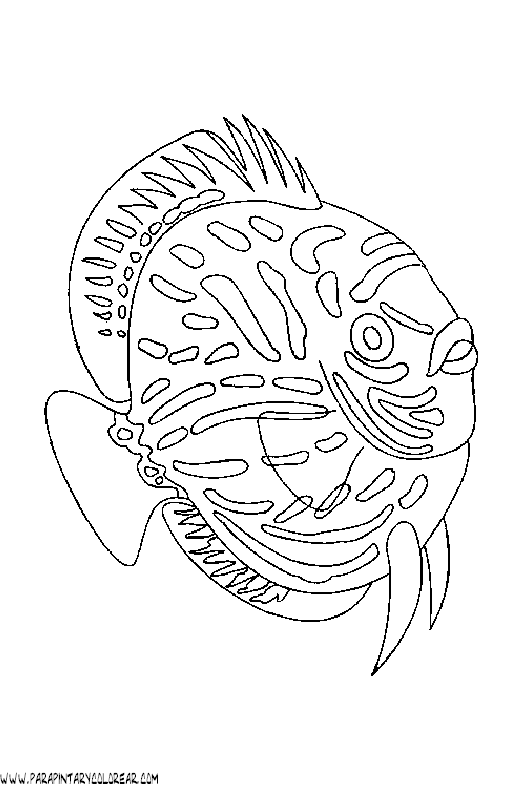 dibujos-de-peces-011.gif