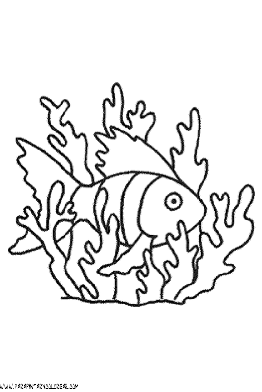 dibujos-de-peces-025.gif