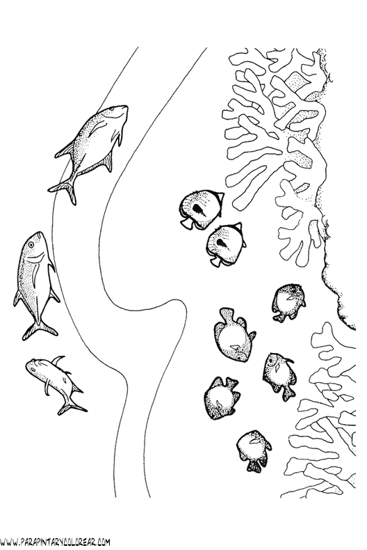 dibujos-de-peces-057.gif