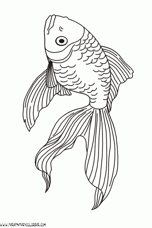 dibujos-de-peces-060.gif