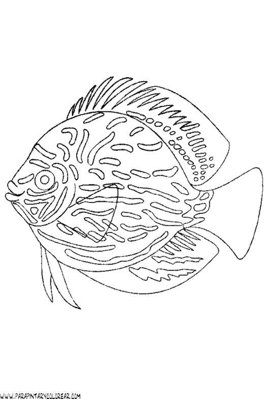 dibujos-de-peces-075.gif