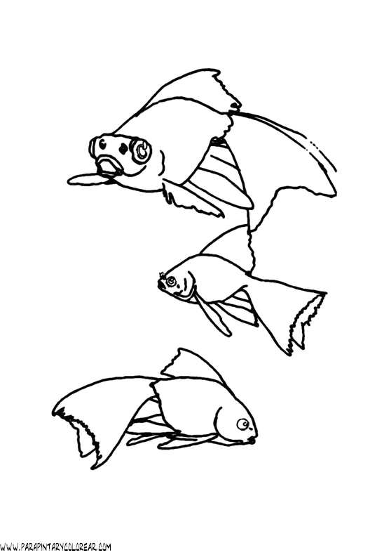 dibujos-de-peces-091.gif