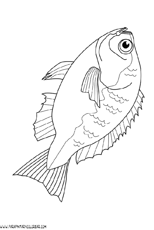 dibujos-de-peces-103.gif