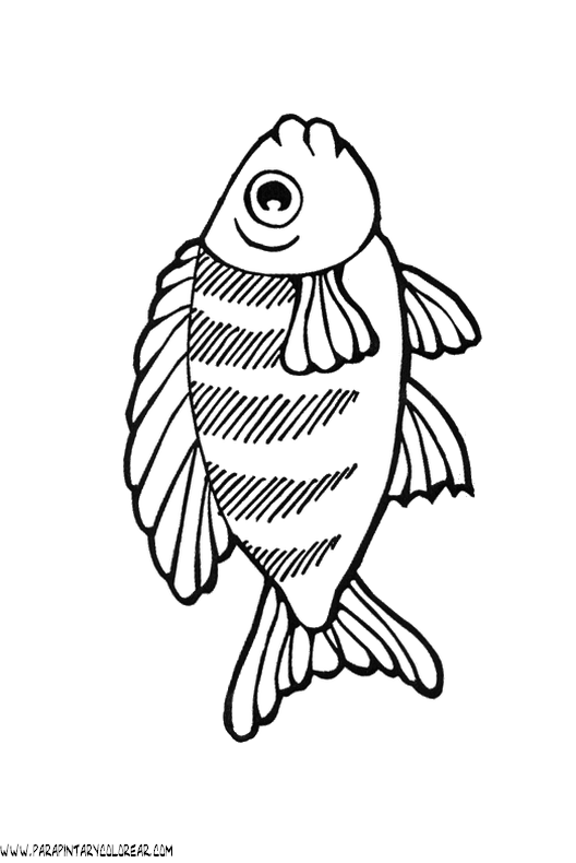 dibujos-de-peces-113.gif