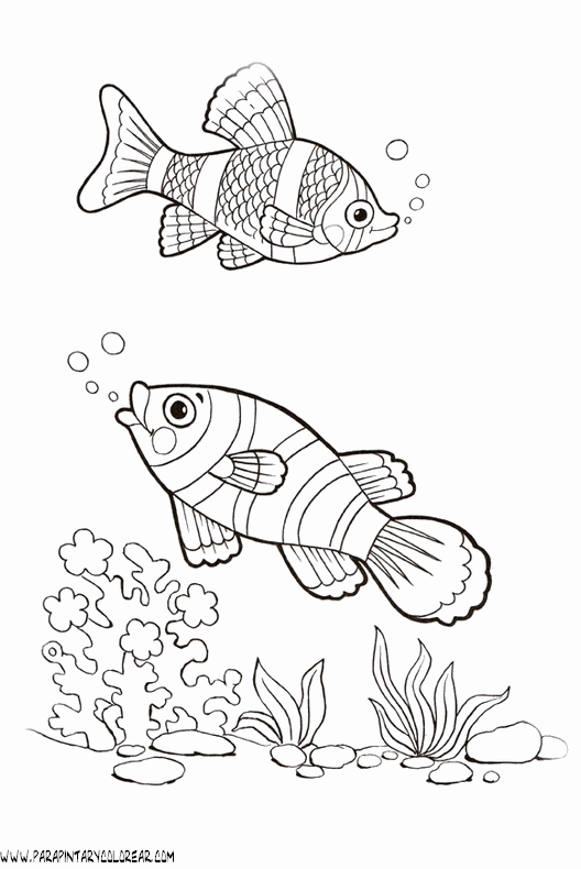 dibujos-de-peces-118.gif