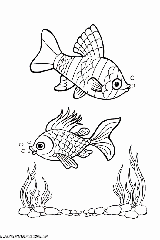 dibujos-de-peces-119.gif