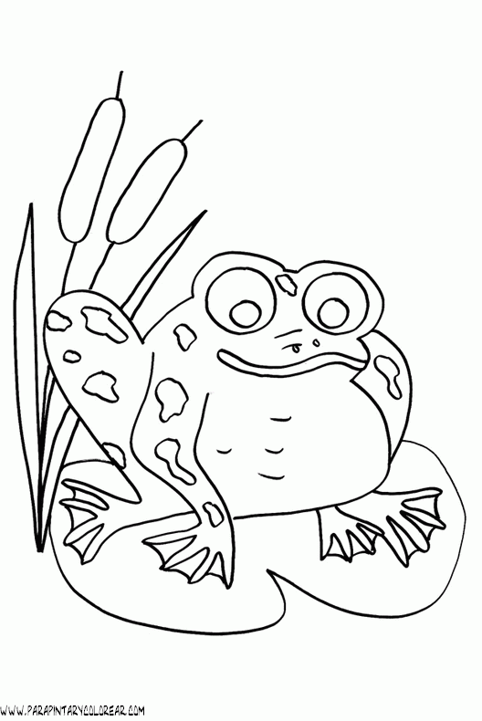 dibujos-de-ranas-041.gif