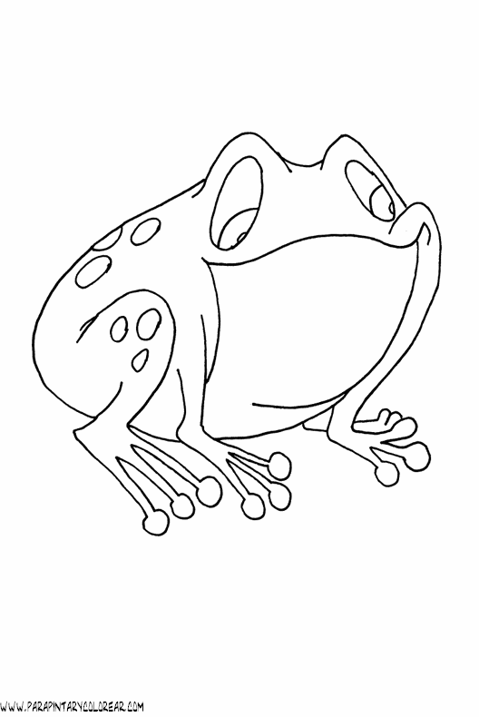 dibujos-de-ranas-088.gif