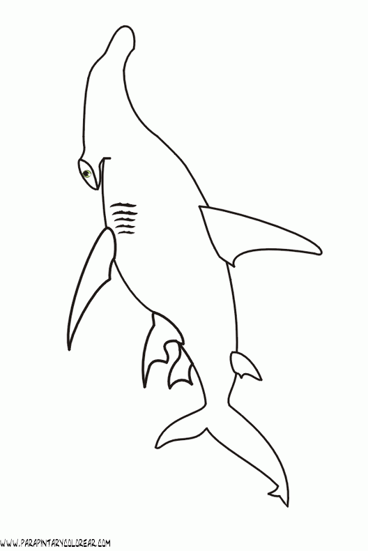 dibujos-de-tiburones-012.gif