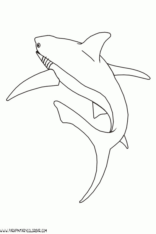 dibujos-de-tiburones-014.gif