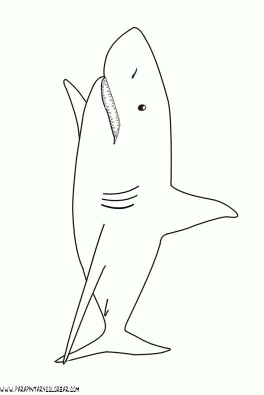 dibujos-de-tiburones-016.gif