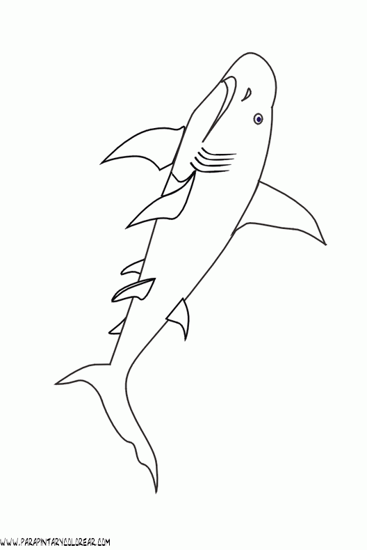 dibujos-de-tiburones-018.gif