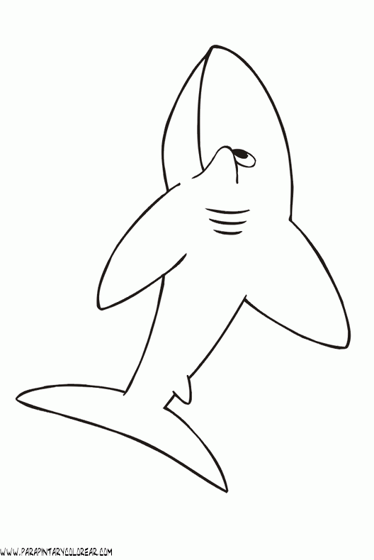 dibujos-de-tiburones-022.gif