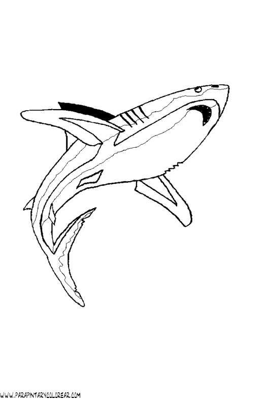 dibujos-de-tiburones-043.gif