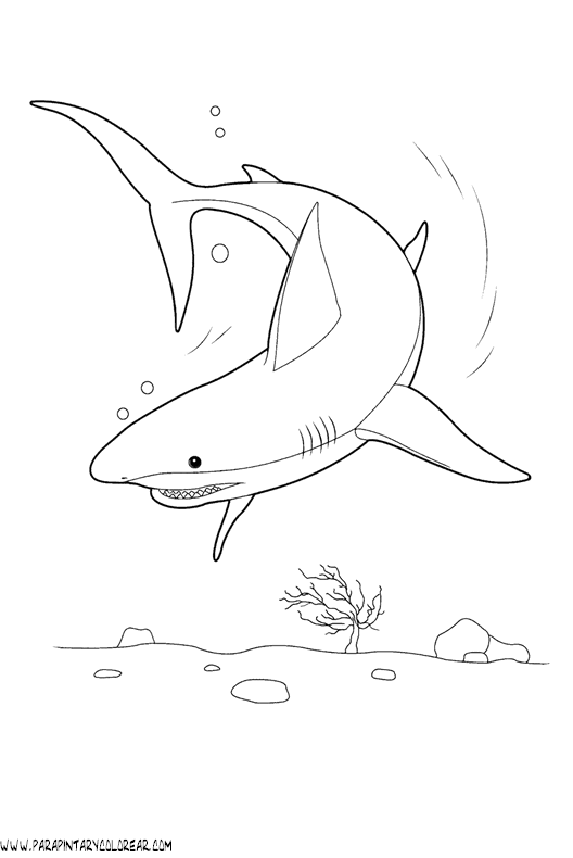 dibujos-de-tiburones-044.gif