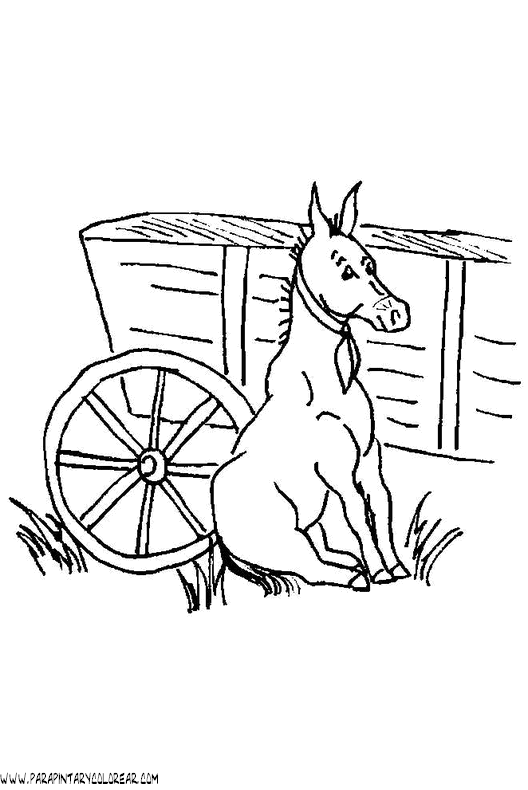 dibujos-para-colorear-de-burros-007.gif