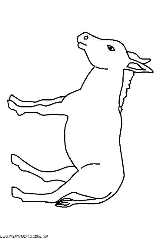 dibujos-para-colorear-de-burros-010.gif