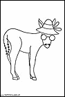 dibujos-para-colorear-de-burros-012.gif