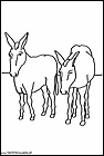 dibujos-para-colorear-de-burros-016.gif