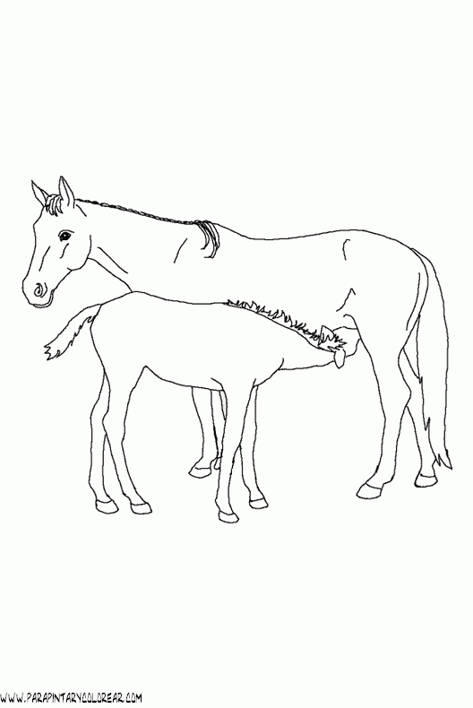 dibujos-de-caballos-017.gif