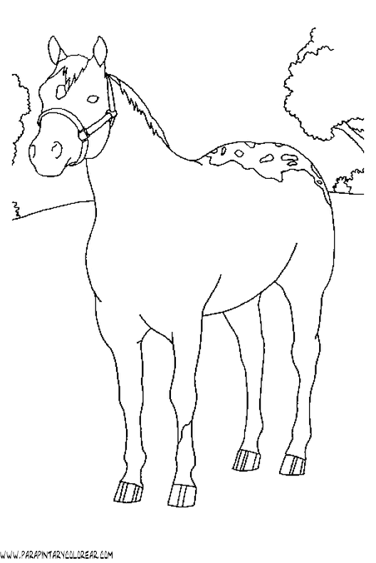 dibujos-de-caballos-022.gif