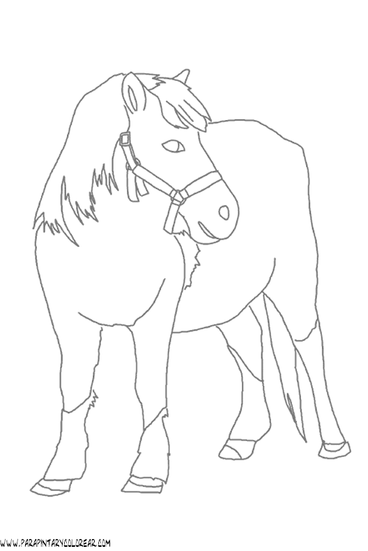 dibujos-de-caballos-042.gif