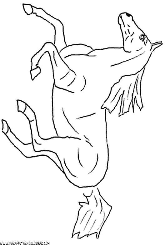 dibujos-de-caballos-082.gif