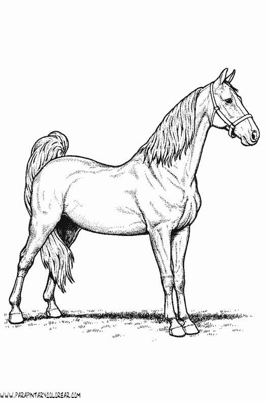 dibujos-de-caballos-090.gif