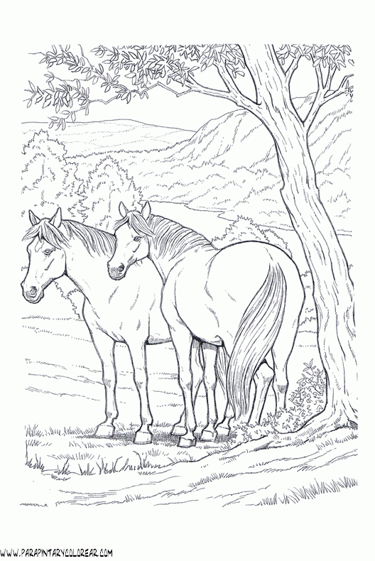 dibujos-de-caballos-194.gif