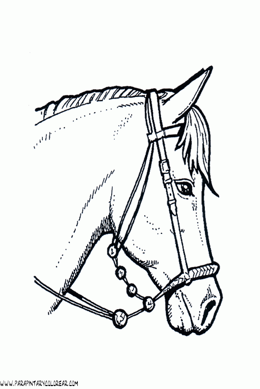 dibujos-de-caballos-214.gif