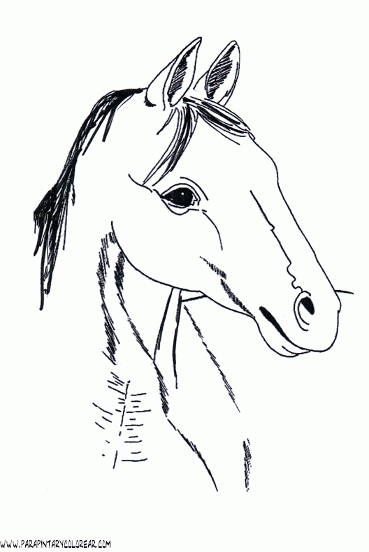 dibujos-de-caballos-215.gif