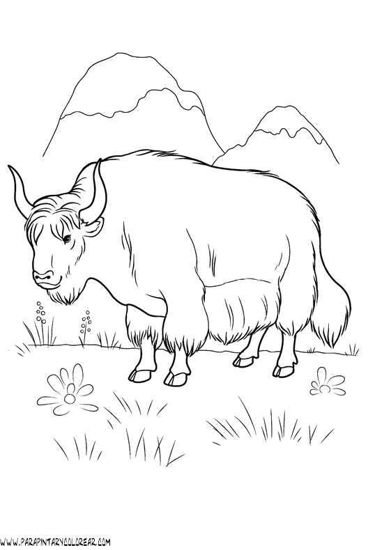 dibujos-de-bisontes-001.gif