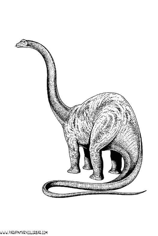 dibujos-de-dinosaurios-008.gif