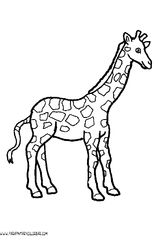 dibujos-de-girafas-12.gif