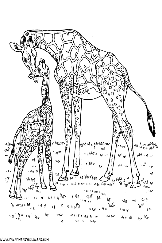 dibujos-de-girafas-19.gif