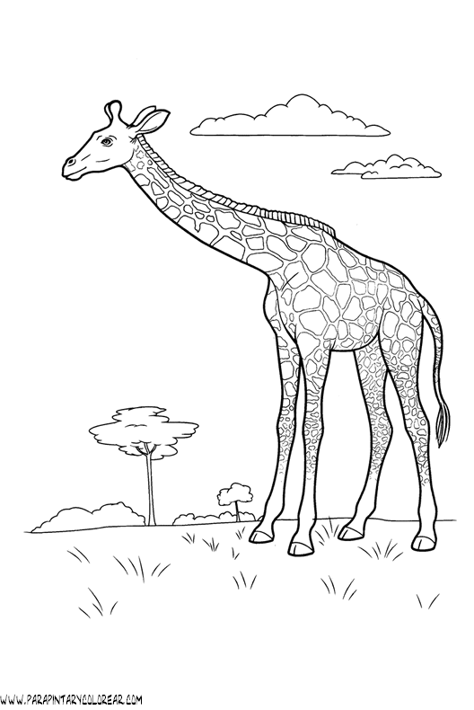 dibujos-de-girafas-21.gif