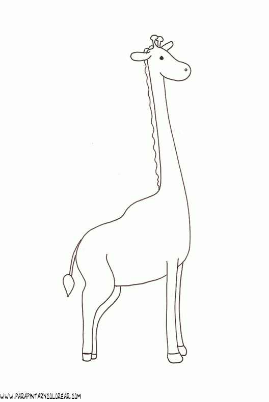 dibujos-de-girafas-23.gif