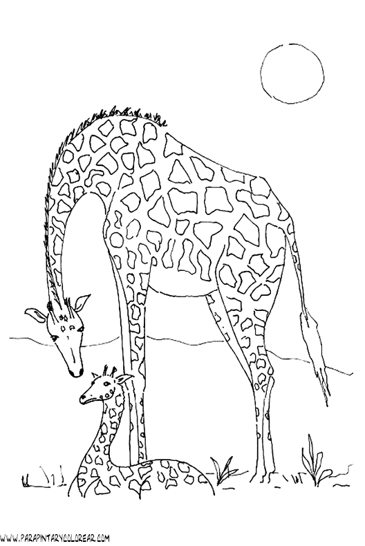 dibujos-de-girafas-28.gif