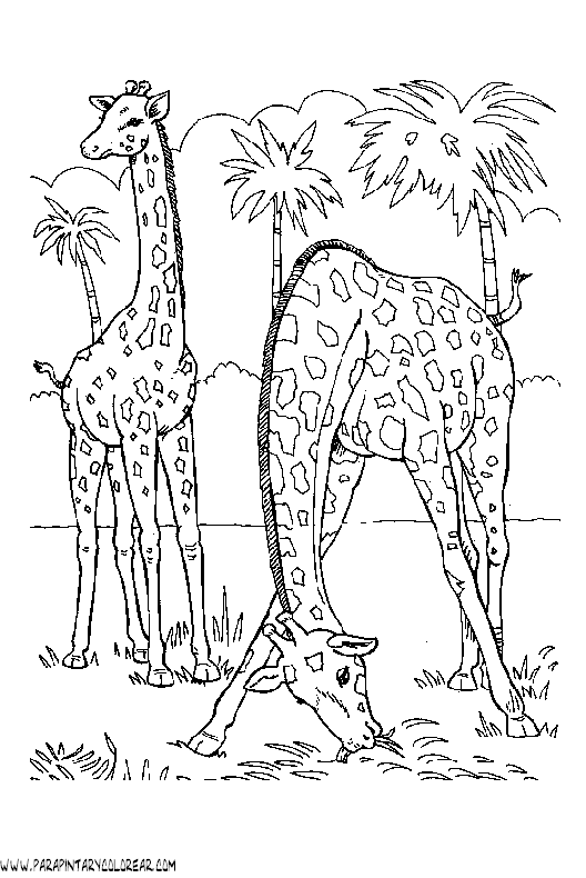 dibujos-de-girafas-31.gif