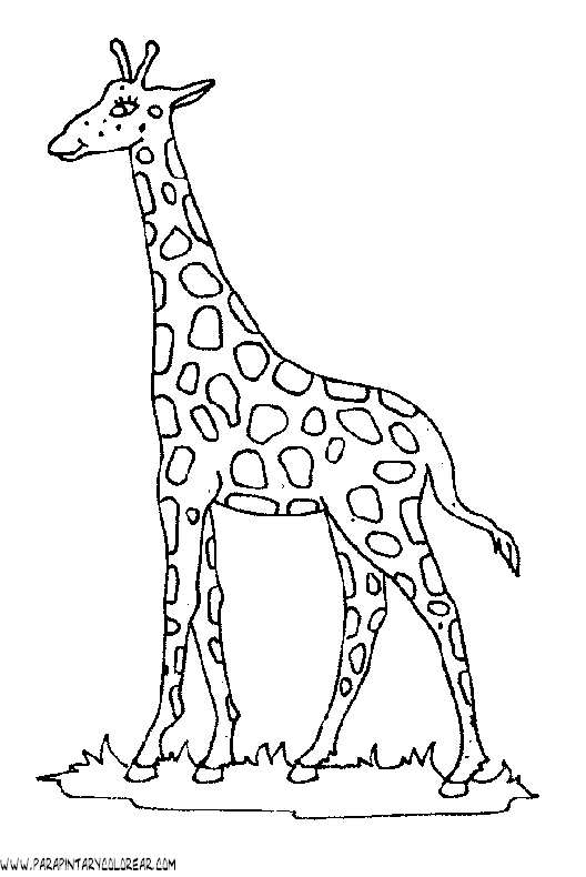 dibujos-de-girafas-34.gif