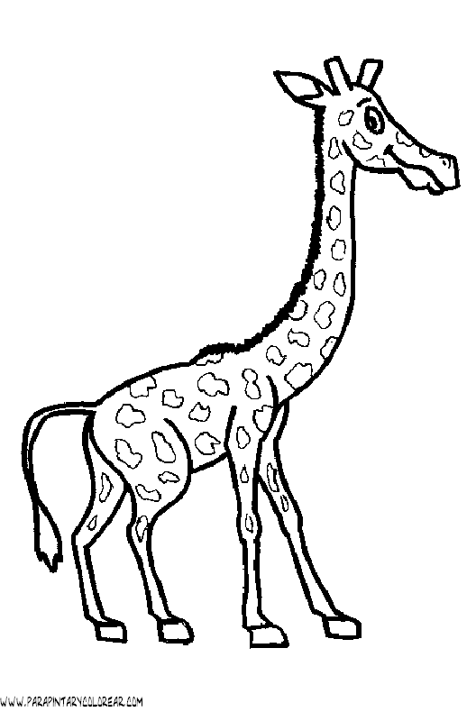 dibujos-de-girafas-43.gif