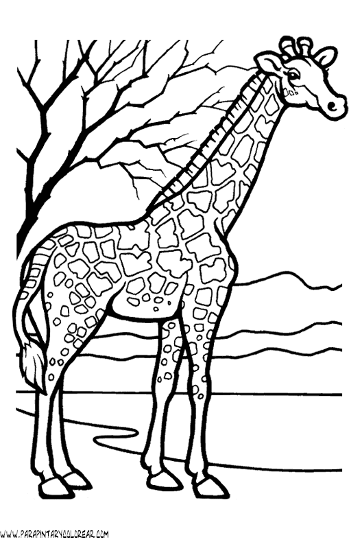 dibujos-de-girafas-46.gif