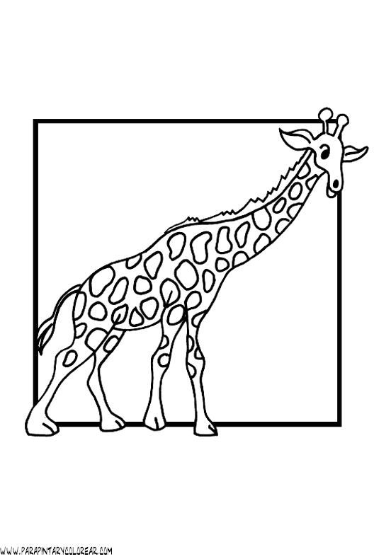 dibujos-de-girafas-47.gif